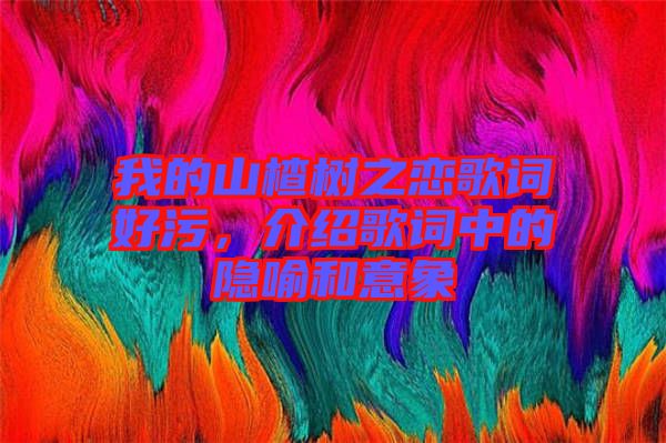 我的山楂樹之戀歌詞好污，介紹歌詞中的隱喻和意象