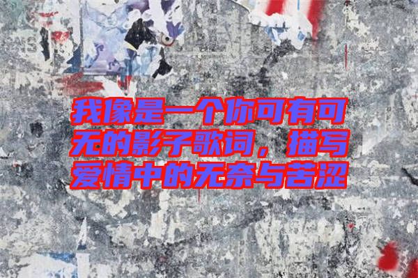 我像是一個(gè)你可有可無(wú)的影子歌詞，描寫(xiě)愛(ài)情中的無(wú)奈與苦澀