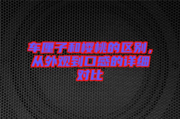 車?yán)遄雍蜋烟业膮^(qū)別，從外觀到口感的詳細(xì)對(duì)比