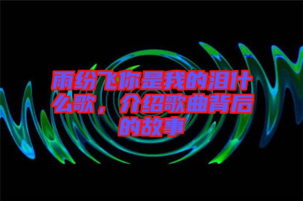 雨紛飛你是我的淚什么歌，介紹歌曲背后的故事