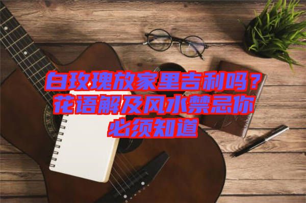 白玫瑰放家里吉利嗎？花語解及風(fēng)水禁忌你必須知道