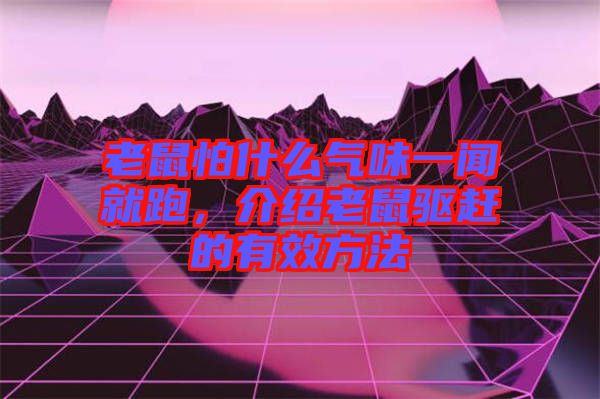 老鼠怕什么氣味一聞就跑，介紹老鼠驅(qū)趕的有效方法