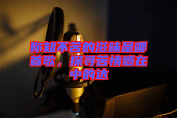 你知不苦的滋味是哪首歌，探尋苦情感在中的達