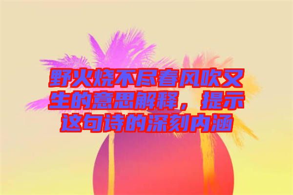 野火燒不盡春風(fēng)吹又生的意思解釋，提示這句詩的深刻內(nèi)涵