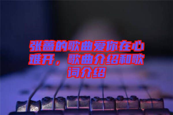 張薔的歌曲愛你在心難開，歌曲介紹和歌詞介紹