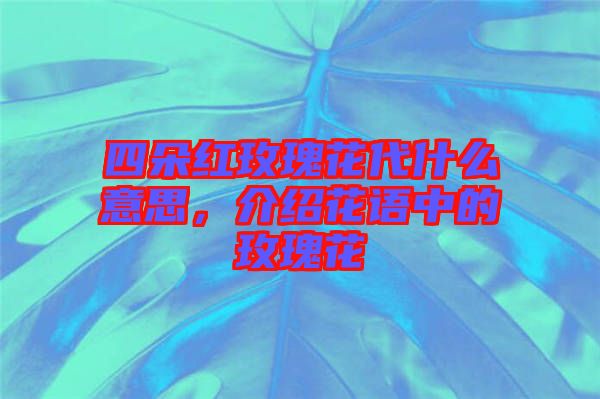 四朵紅玫瑰花代什么意思，介紹花語(yǔ)中的玫瑰花