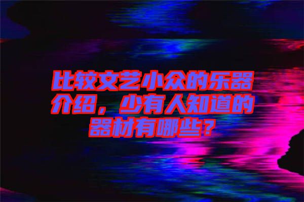 比較文藝小眾的樂(lè)器介紹，少有人知道的器材有哪些？