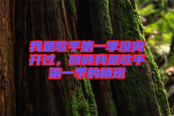 我是歌手第一季沒離開過，回顧我是歌手第一季的精現(xiàn)