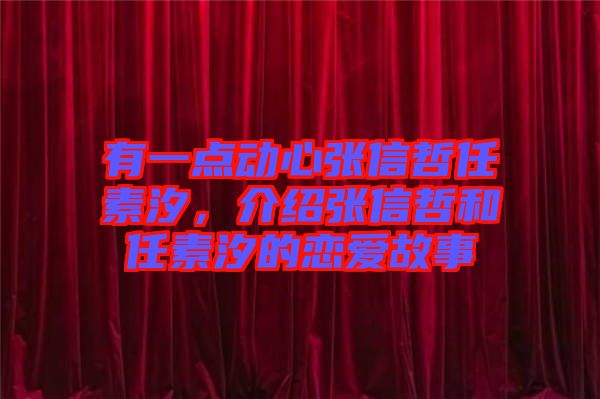 有一點動心張信哲任素汐，介紹張信哲和任素汐的戀愛故事