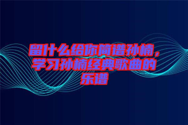 留什么給你簡(jiǎn)譜孫楠，學(xué)習(xí)孫楠經(jīng)典歌曲的樂(lè)譜