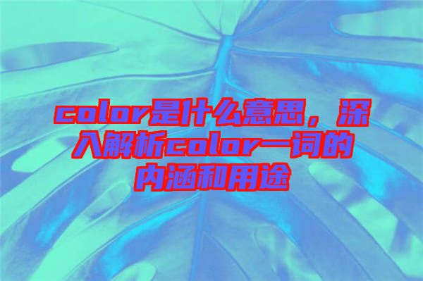 color是什么意思，深入解析color一詞的內(nèi)涵和用途