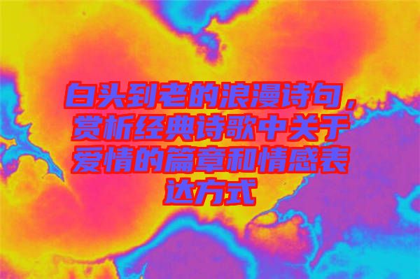 白頭到老的浪漫詩句，賞析經(jīng)典詩歌中關(guān)于愛情的篇章和情感表達方式