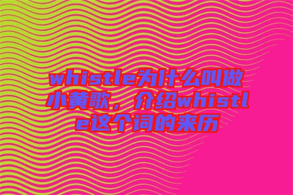 whistle為什么叫做小黃歌，介紹whistle這個詞的來歷