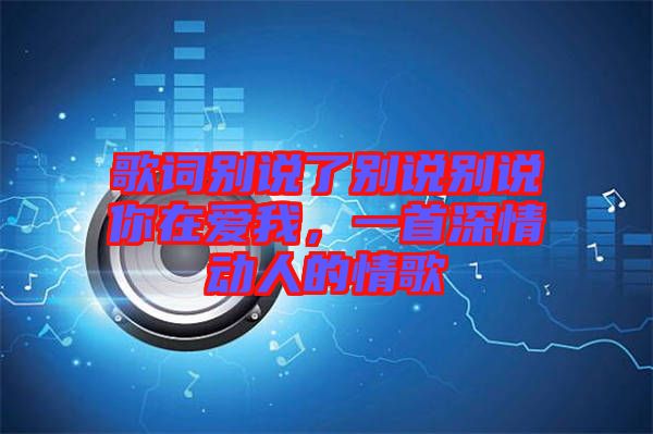 歌詞別說了別說別說你在愛我，一首深情動(dòng)人的情歌