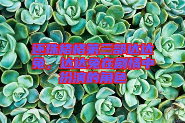 還珠格格第三部達(dá)達(dá)兔，達(dá)達(dá)兔在劇情中扮演的角色