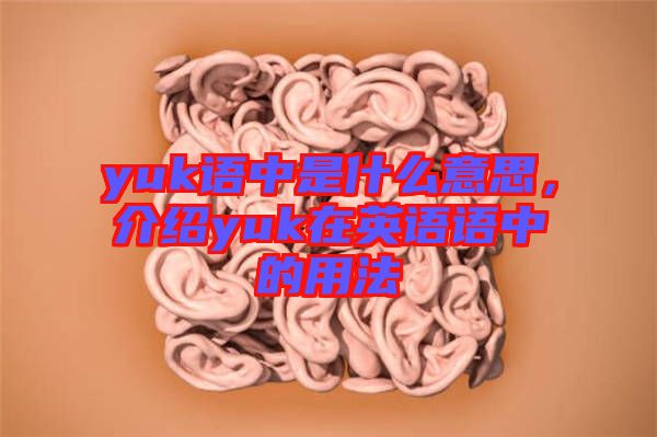 yuk語中是什么意思，介紹yuk在英語語中的用法