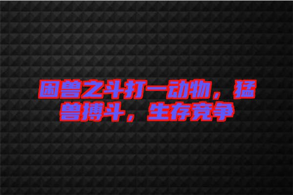 困獸之斗打一動物，猛獸搏斗，生存競爭