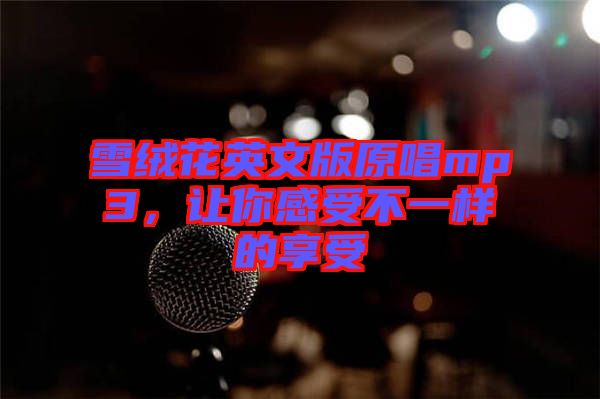 雪絨花英文版原唱mp3，讓你感受不一樣的享受