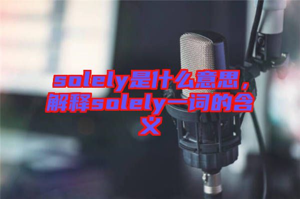 solely是什么意思，解釋solely一詞的含義