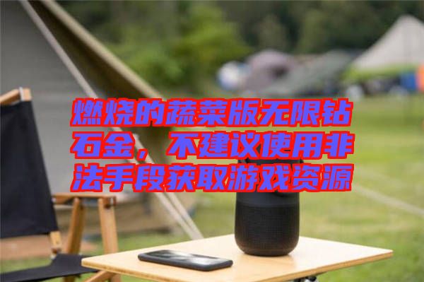 燃燒的蔬菜版無(wú)限鉆石金，不建議使用非法手段獲取游戲資源