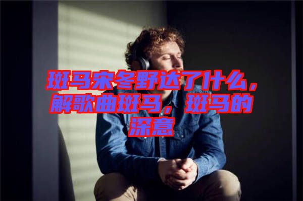 斑馬宋冬野達(dá)了什么，解歌曲斑馬，斑馬的深意