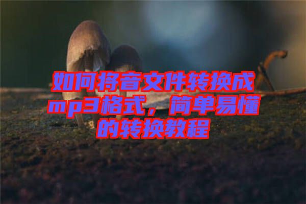 如何將音文件轉換成mp3格式，簡單易懂的轉換教程