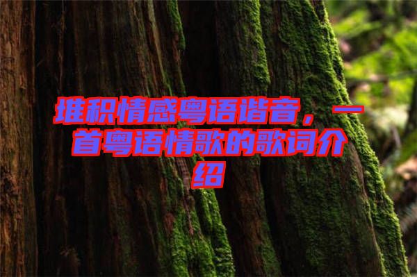 堆積情感粵語諧音，一首粵語情歌的歌詞介紹