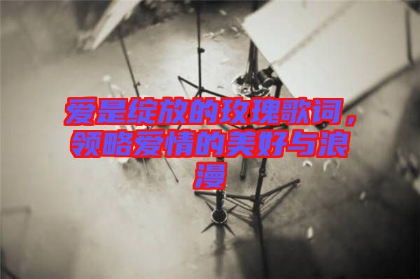 愛是綻放的玫瑰歌詞，領(lǐng)略愛情的美好與浪漫