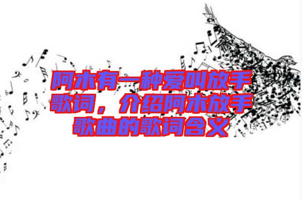 阿木有一種愛叫放手歌詞，介紹阿木放手歌曲的歌詞含義