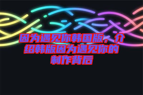 因?yàn)橛鲆娔沩n國(guó)版，介紹韓版因?yàn)橛鲆娔愕闹谱鞅澈? width=