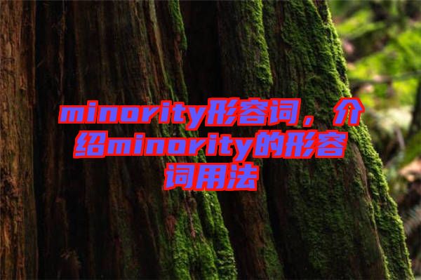 minority形容詞，介紹minority的形容詞用法