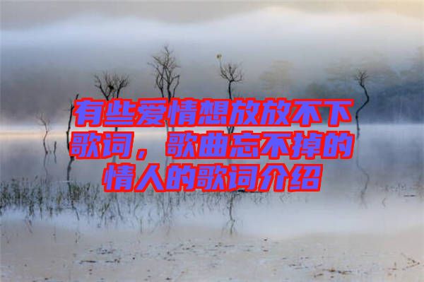 有些愛情想放放不下歌詞，歌曲忘不掉的情人的歌詞介紹