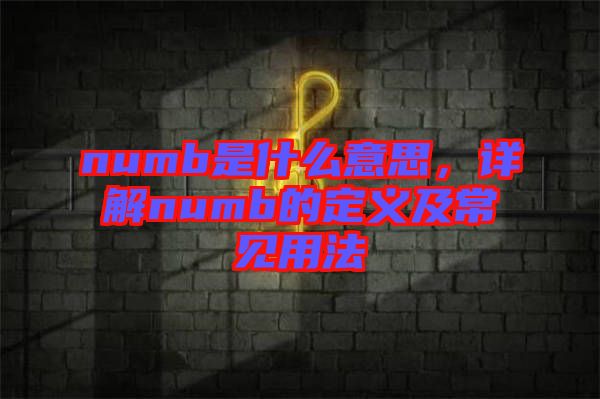 numb是什么意思，詳解numb的定義及常見(jiàn)用法