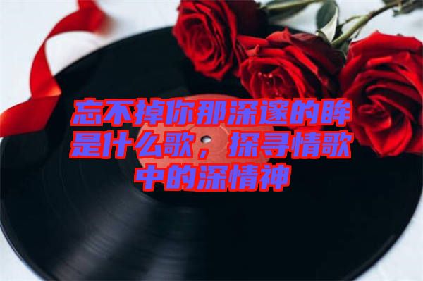 忘不掉你那深邃的眸是什么歌，探尋情歌中的深情神