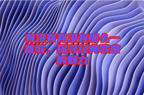 有沒有有沒有那么一首歌，探尋經(jīng)典歌曲的魅力