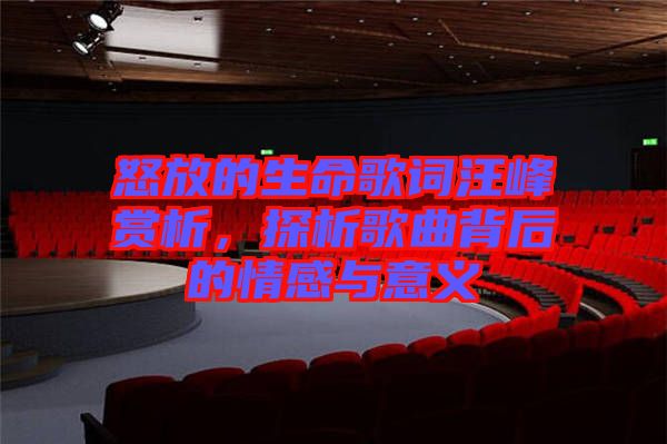 怒放的生命歌詞汪峰賞析，探析歌曲背后的情感與意義