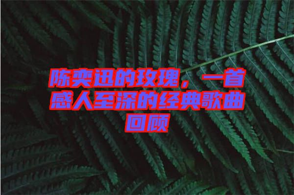 陳奕迅的玫瑰，一首感人至深的經(jīng)典歌曲回顧