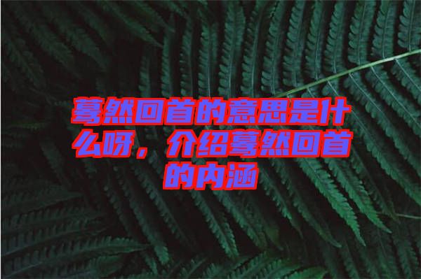 驀然回首的意思是什么呀，介紹驀然回首的內(nèi)涵