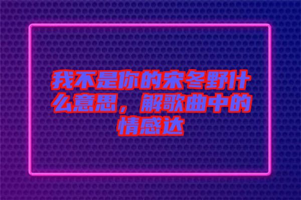 我不是你的宋冬野什么意思，解歌曲中的情感達(dá)