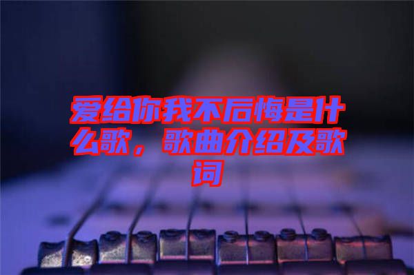 愛給你我不后悔是什么歌，歌曲介紹及歌詞