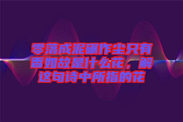 零落成泥碾作塵只有香如故是什么花，解這句詩中所指的花