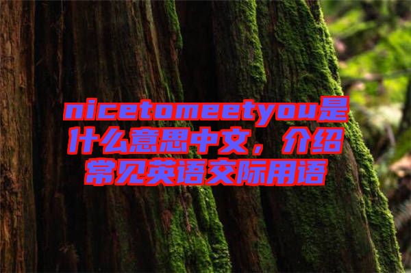 nicetomeetyou是什么意思中文，介紹常見英語交際用語