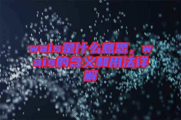 wais是什么意思，wais的含義和用法詳解