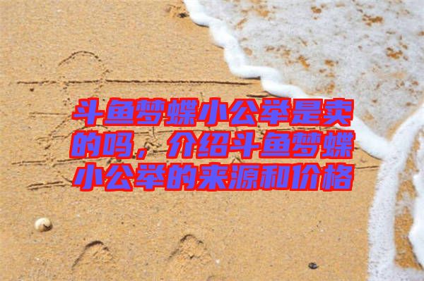 斗魚夢蝶小公舉是賣的嗎，介紹斗魚夢蝶小公舉的來源和價格