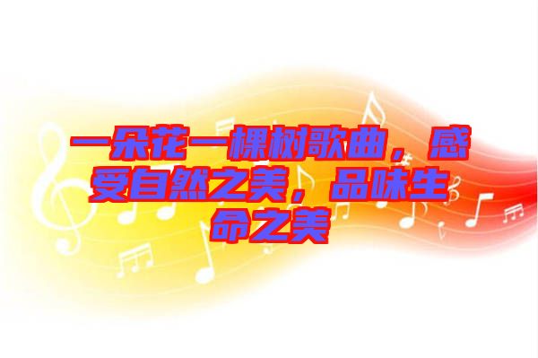 一朵花一棵樹歌曲，感受自然之美，品味生命之美