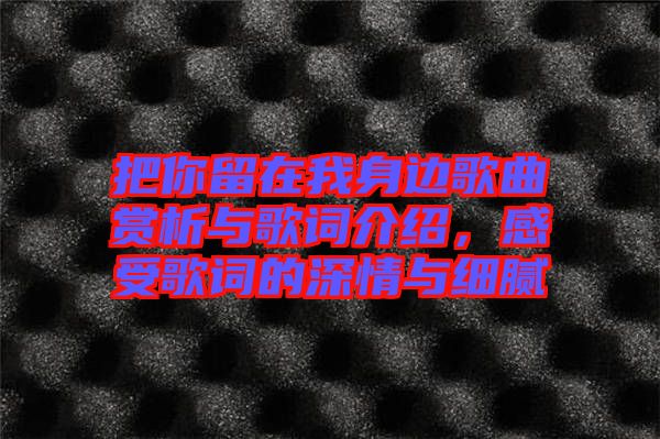 把你留在我身邊歌曲賞析與歌詞介紹，感受歌詞的深情與細膩