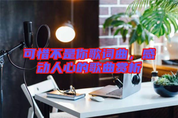 可惜不是你歌詞曲，感動人心的歌曲賞析