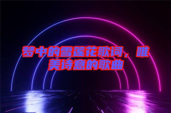 夢中的雪蓮花歌詞，唯美詩意的歌曲