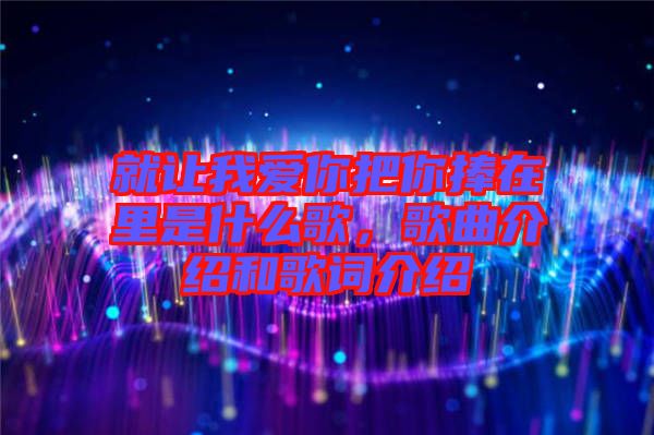 就讓我愛你把你捧在里是什么歌，歌曲介紹和歌詞介紹