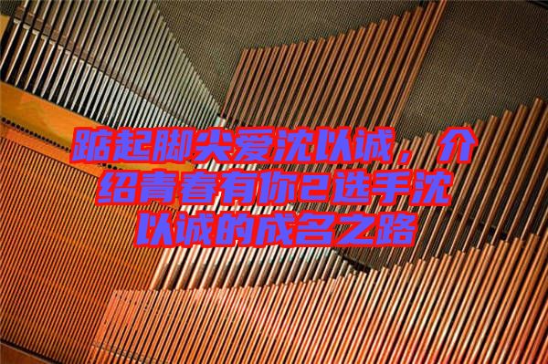 踮起腳尖愛沈以誠，介紹青春有你2選手沈以誠的成名之路